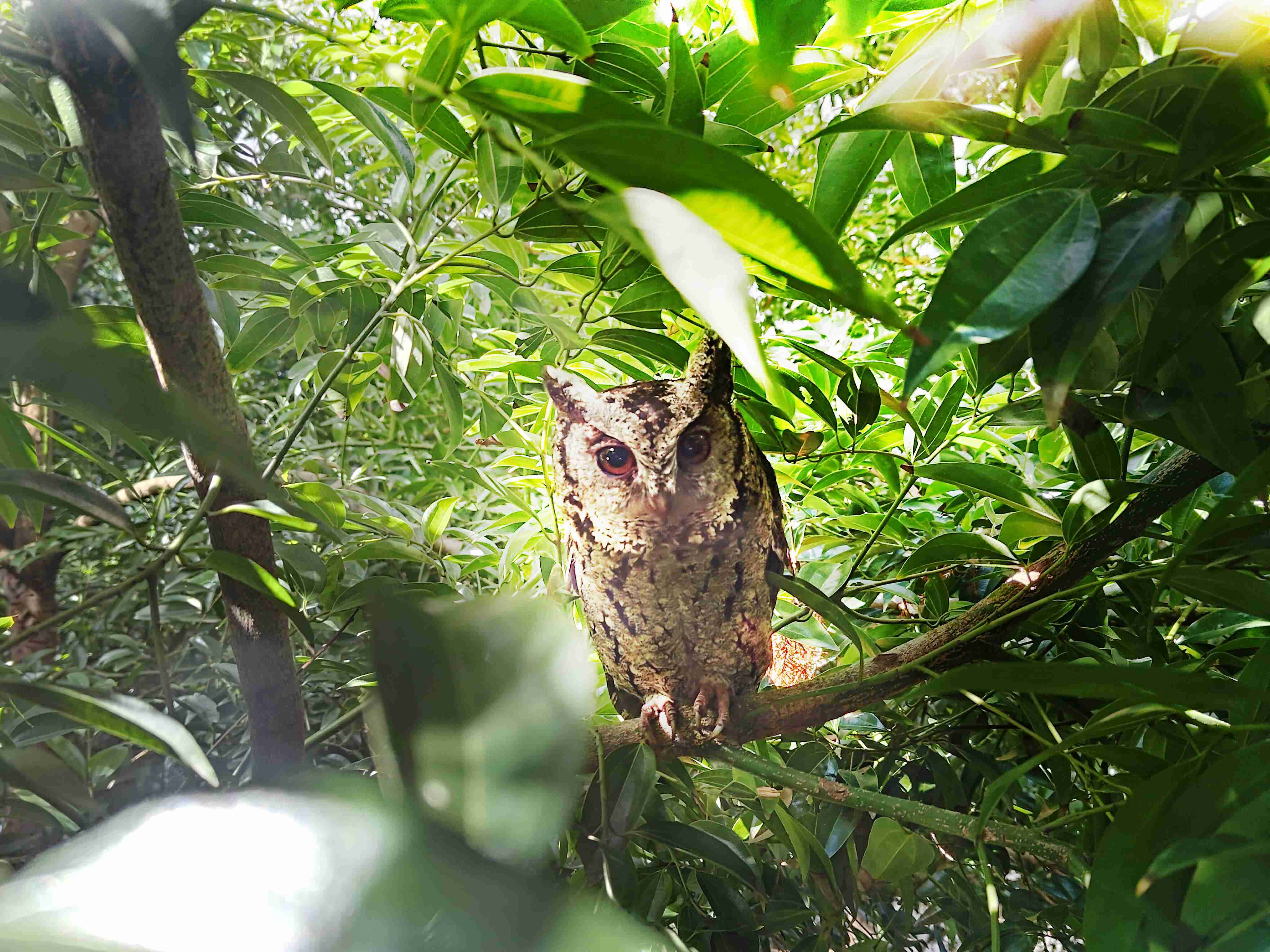 壹号平台致力提倡净零绿生活，，16年以来在全球各厂区植树逾百万棵，，，，造就各厂区树木蔚然成林，，，犹如森林工厂，，，成为许多生物的栖息地